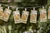 Bosnia’s Return to Financial Crime ‘Grey List’ Will Hurt Economy: Experts