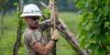 Eastern Carolina lineworker helps bring power to remote Guatemalan village