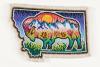 Idaho Star Garnet and Montana Beadwork Represent What’s Best About Each State for America250 Time Capsule