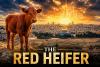 Why the Red Heifer Is Back in the Spotlight—and Why Christians Should Be Watching