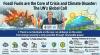Fossil Fuels at the Root of Crisis and Climate Havoc