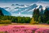Alaska