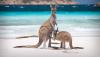 Australia through the lens of 45 photographers, in the heart of Athens