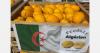 Algerian yellow melons are gradually gaining a foothold in the French market