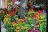 Dunstable family independent businesses: Hair, health and holidays; food, flowers and body art