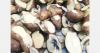 Moldova rejects 21-tonne potato shipment over quality non-compliance