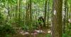Luzerne County native treks from Georgia to Maine, hits halfway point and home