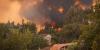 50 French departments at heightened risk of forest fires