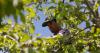 Vermont is the first state to ban paraquat, a weed killer linked to Parkinson's disease