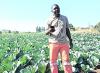 Technology, innovation boost prospects for agriculture farmers