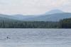 You’re missing one of Maine’s finest stretches of north woods. A return trip reminded me why.