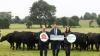 Sustainable Livestock Village returns to Tullamore Show