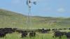 Nebraska Grazing Conference set for Aug. 4-5 in Kearney