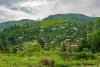 The Politics of ‘Terrorism’ as a Designation in Eastern DRC