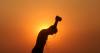 Baking heatwave gives Europe no respite