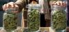 Report: Cannabis Industry Jobs Fell 2.7% Year-Over-Year