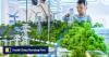 China’s green-energy costs seen undercutting traditional energy as capacity hits record