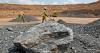 Nigeria's next oil? FG says it has found platinum, gold, lithium and rare earth minerals in Kaduna