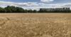 'Farming is finally enjoying its moment in the spotlight'