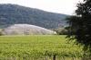 Farmers lament severe water cuts as historic drought grips North Okanagan