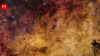 Euclid space telescope captures 60 million Milky Way stars in stunning image that could transform astronomy for decades