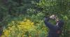 Join bioblitz at Broadview Farm in East Derry