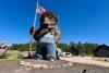 The World’s Only Bearded Buffalo Is In This South Dakota Town