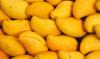 India sends first commercial sea shipment of Banganapalle mangoes to Singapore