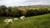 Minister backs nature recovery and farm resilience