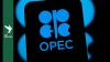 Iraq warns it might leave OPEC if oil quota not raised