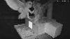 Great Horned Owl kills barn owl owlet on North Carolina Wildlife Live Cam