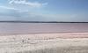 Larnaca Salt Lake turns bright pink, creating one of Cyprus’ most stunning summer sights