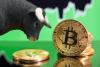 3 Cryptocurrencies That Could Stage a Comeback by the End of 2026