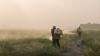 Vermont is the first state to ban paraquat, pesticide linked to Parkinson's