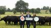 Sustainable Livestock Village to highlight international Year of Woman Farmer