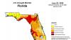Fireworks get green light for July 4, but drought still grips Florida