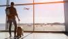 Number of tourists who came to Ireland in May surges