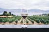 Wine me not