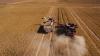 Australia clears paraquat and diquat for continued use