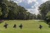 When is Australian Father’s Day 2026? And where to celebrate in Sydney