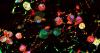 Scientists Discover 'Footprints' of Dead Cells Exploited by Virus as Secret Passageways