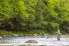 River adventures: A novice learns the basics of fly fishing in Vermont