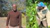 Schooled by the soil: Zondi’s passion for indigenous plant science