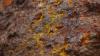 Lotus Resources outlines operational, funding challenges in Malawi