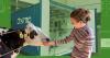 Small biodigester fuels research
