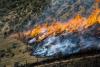 Senators Introduce Bill to Bolster Wildfire Fuel Reduction Efforts