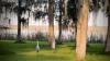 10 weird and wonderful facts about Florida's Lake Panasoffkee