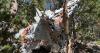Colorado History Hikes: Searching for the 1965 T-33 crash site in Boulder County
