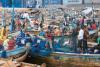 Togo presents artisanal fisheries modernization strategy 