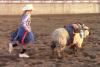Get Ready For Mutton Bustin At The Central Wyoming Fair